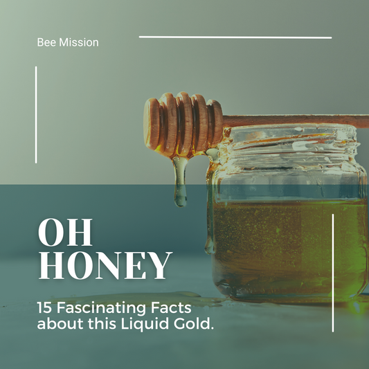 Oh Honey! 15 Fascinating Facts about Liquid Gold