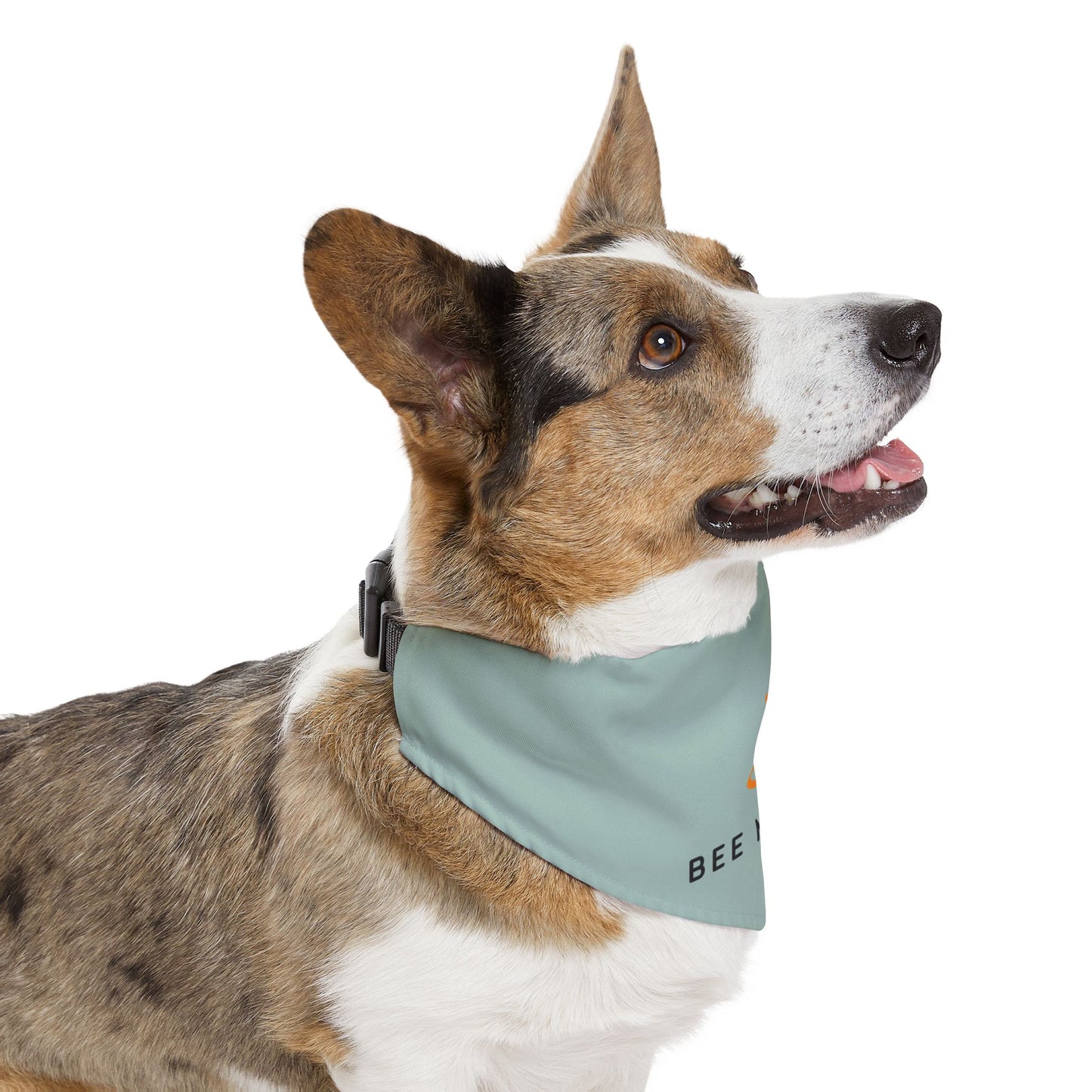 Bee Mission Pet Bandana Collar