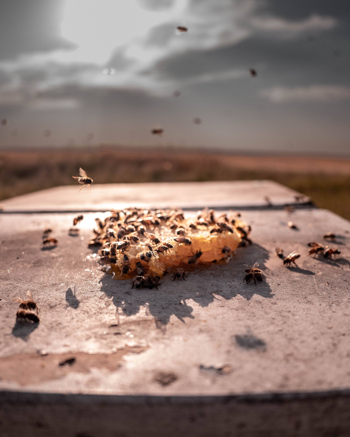 Moore's Texas Hot Honey with Ghost Peppers