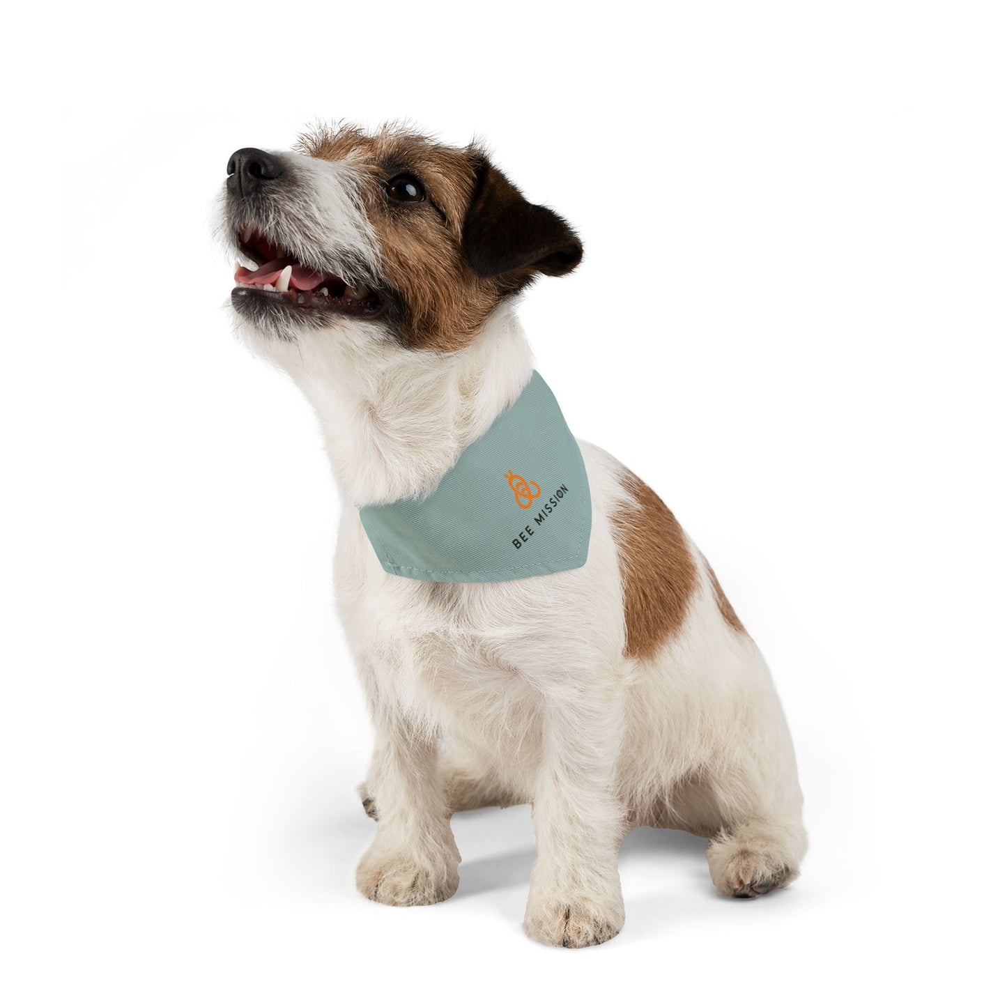 Bee Mission Pet Bandana Collar