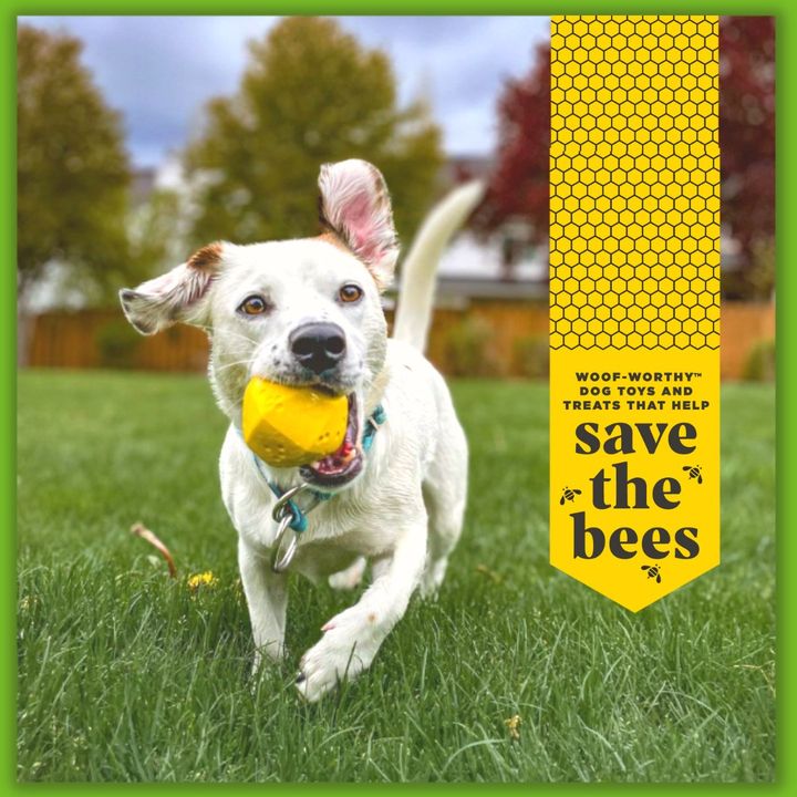 Hive Fetch Stick