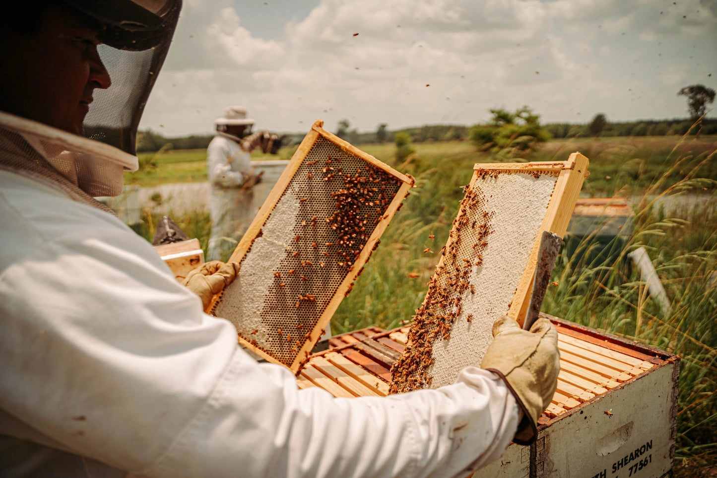 Moore Honey BBQ Sauce – Sweet Heat the Texas Way