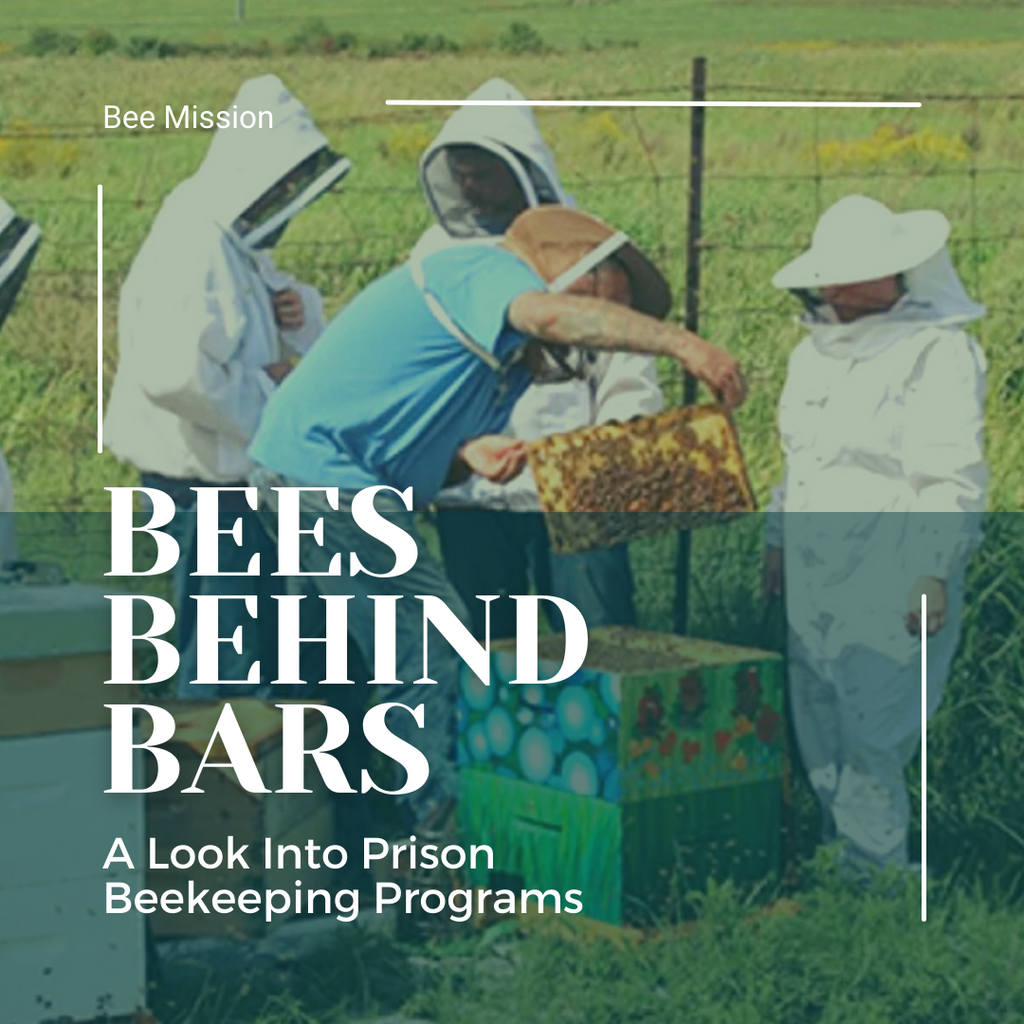 Bees Behind Bars; A Look Into Prison Beekeeping Programs