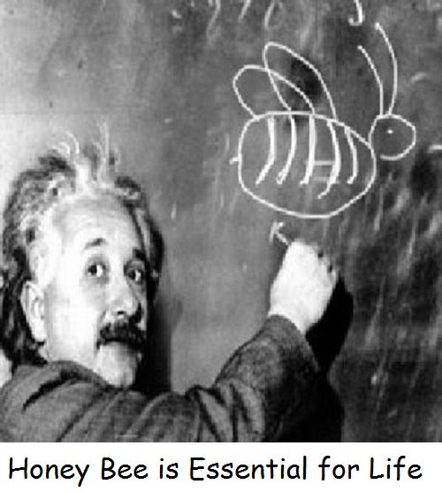 Was Einstein Right?