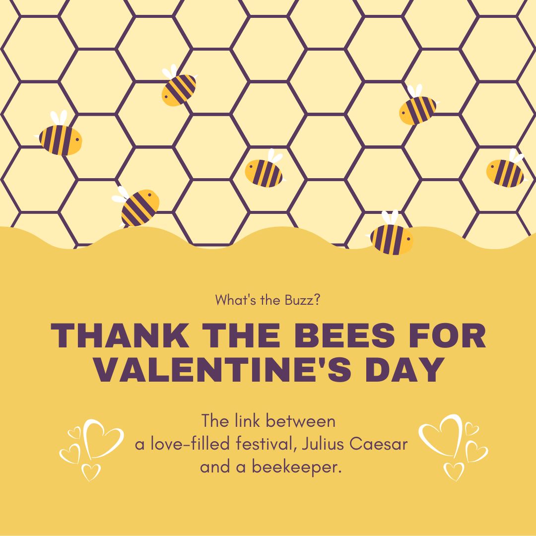 Thank the Bees for Valentine's Day