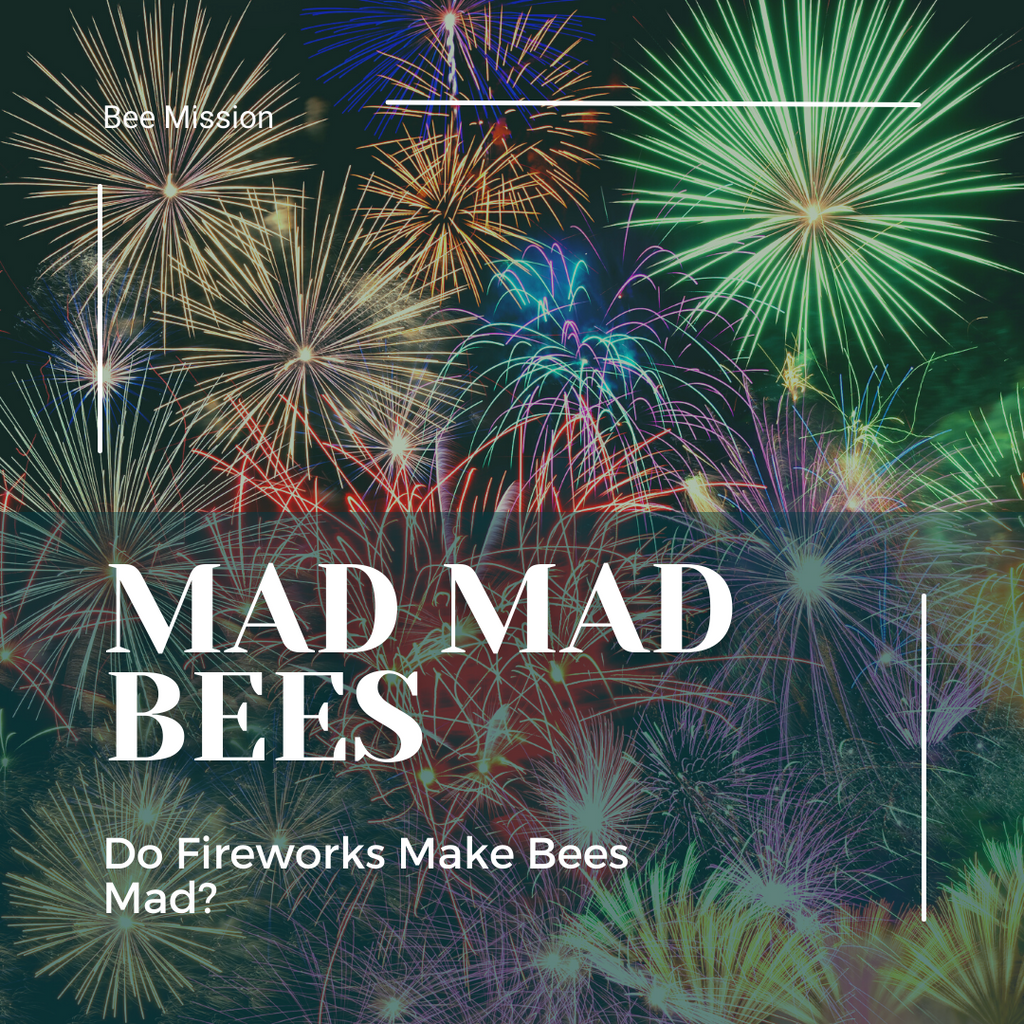 Do Fireworks Make Bees Mad?
