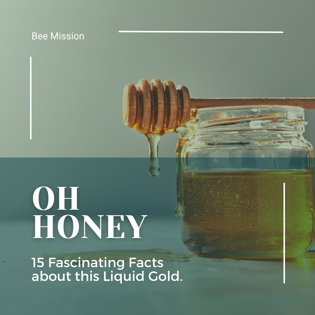 Oh Honey!  15 Fascinating Facts about Liquid Gold
