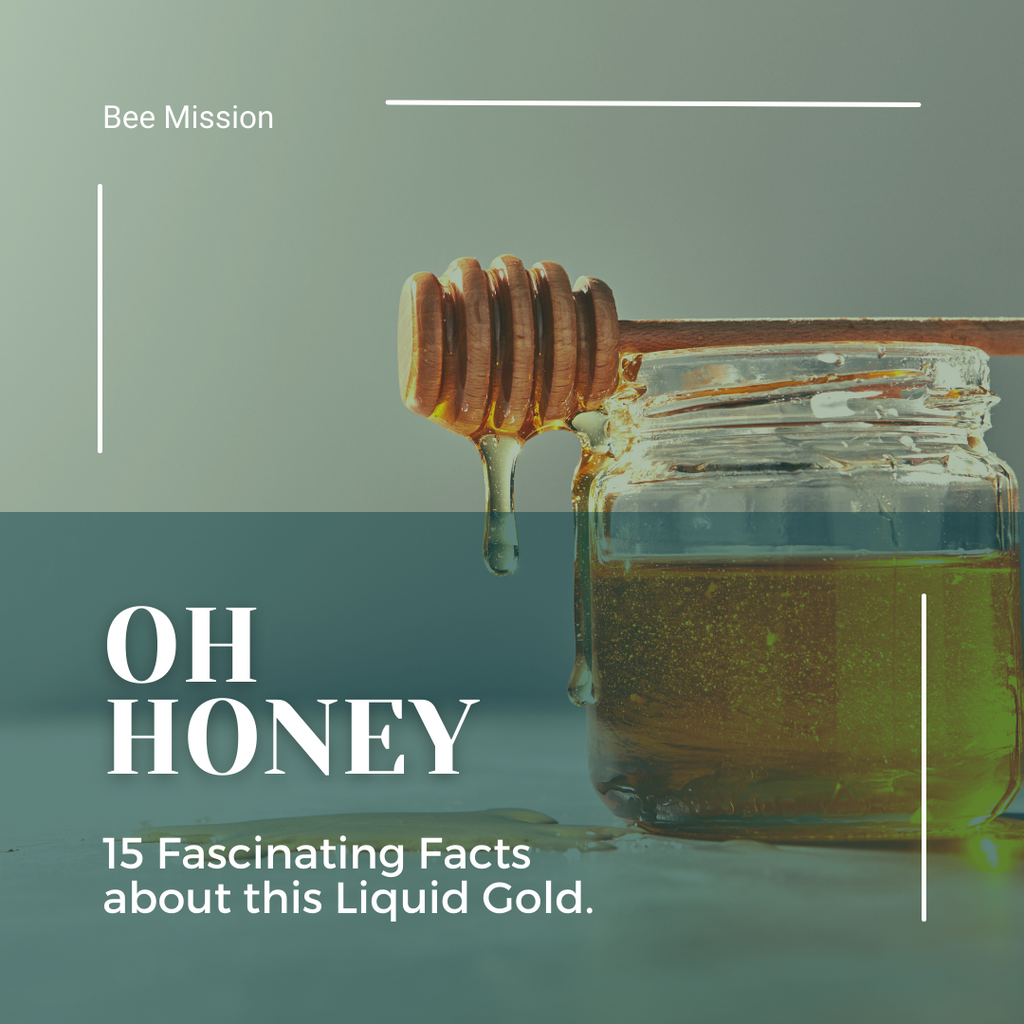 Oh Honey!  15 Fascinating Facts about Liquid Gold