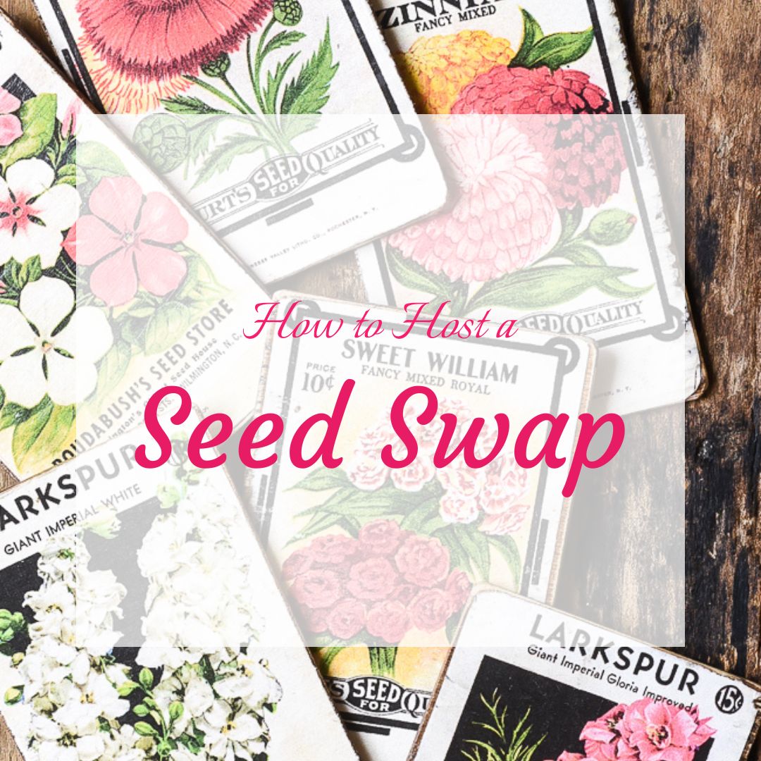 One Easy Way to Help Save the Bees in January