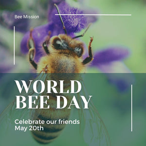 Celebrate our Buzz-Worthy Friends for World Bee Day!