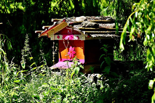 How To Set Up A Beehive