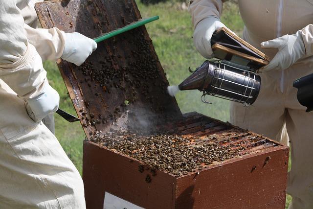 Albania Seeks to Align Beekeeping Law with EU