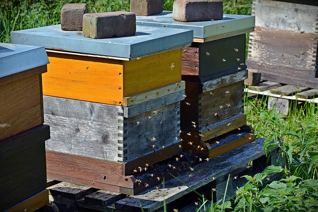 Beekeepers Turn to GPS Trackers and Anti-Theft Technology