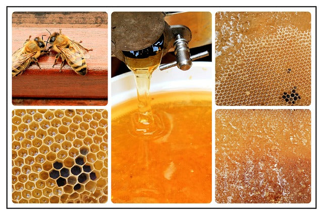 Honey is Liquid Gold
