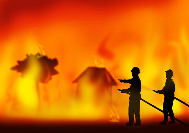 Bushfires Destroyed Over 1000 Beehives On Kangaroo Island