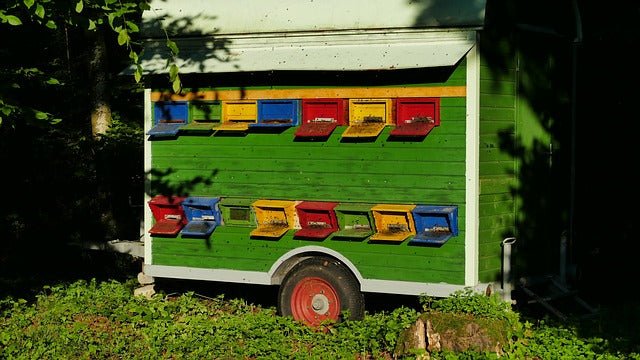 Slovenia Uses a Mobile Apiary to Promote Beekeeping