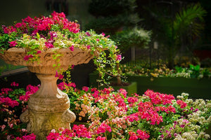 The Bee Garden