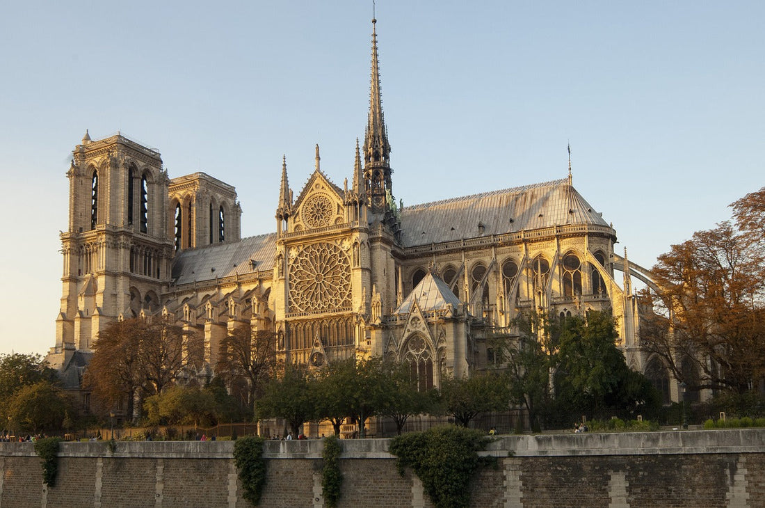 The Bees of Notre Dame: A Story of Resilience