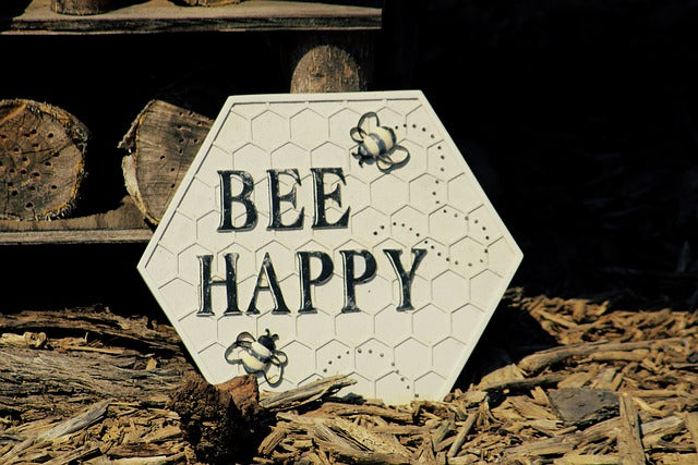 Bees Love Salty Nectar