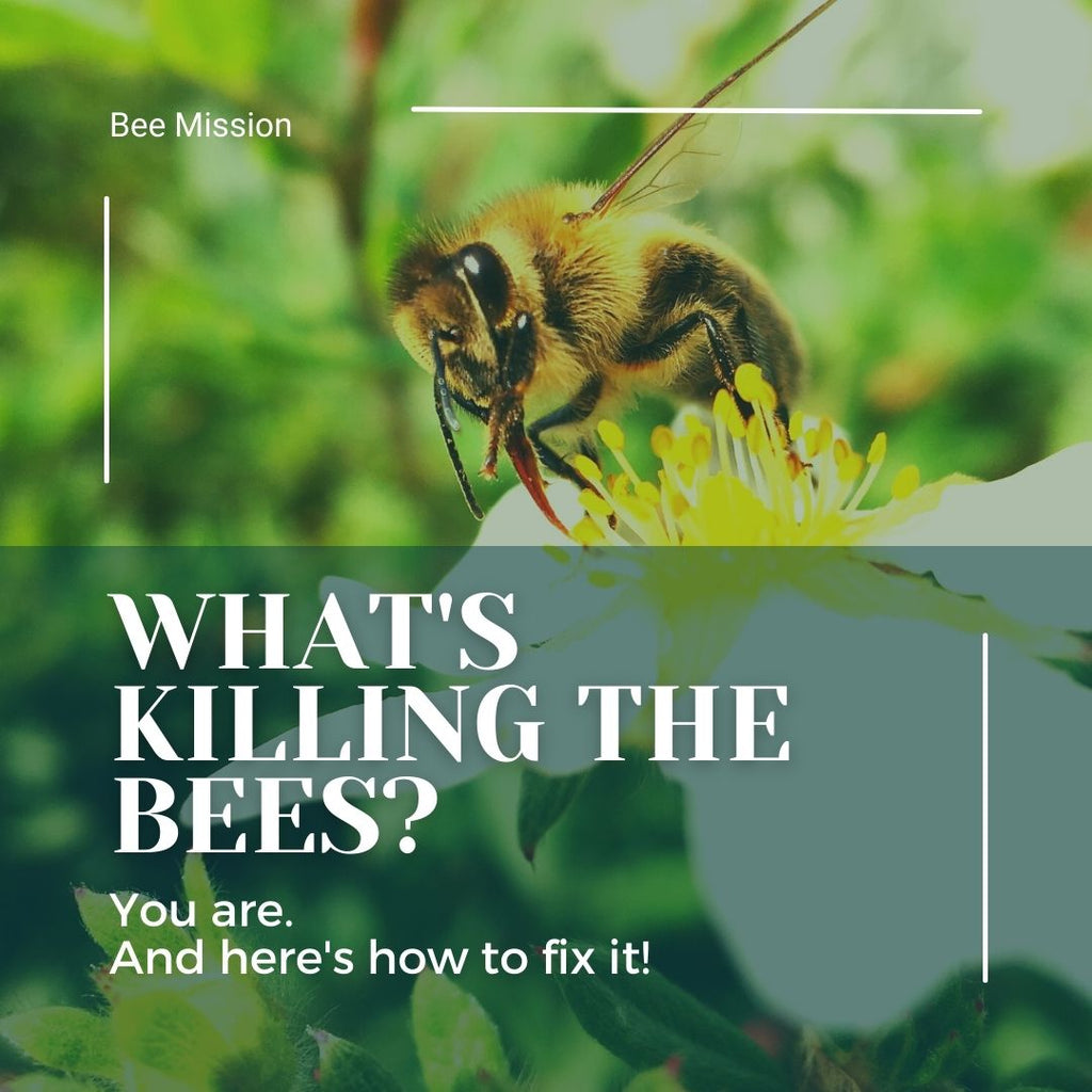 What's Killing the Bees?  You are.