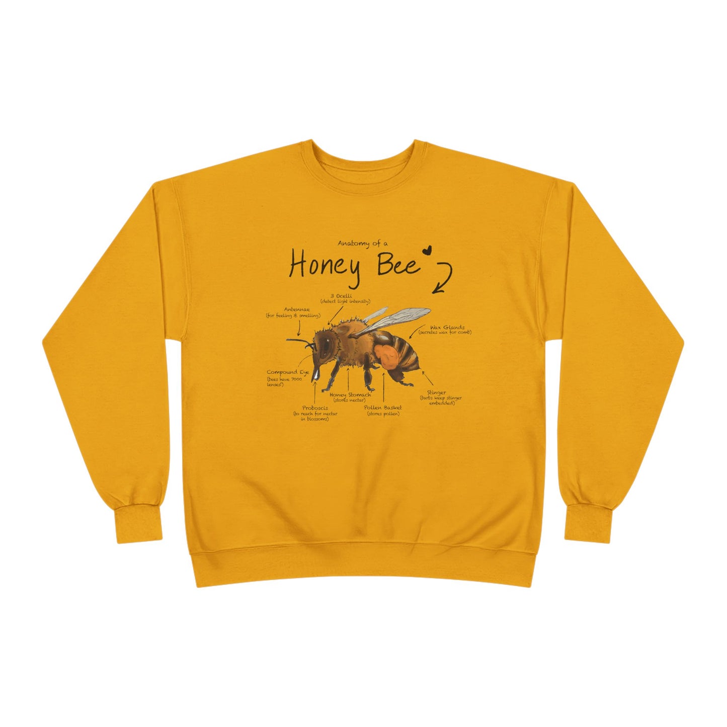 Bee Anatomy Eco-Friendly Sweatshirt