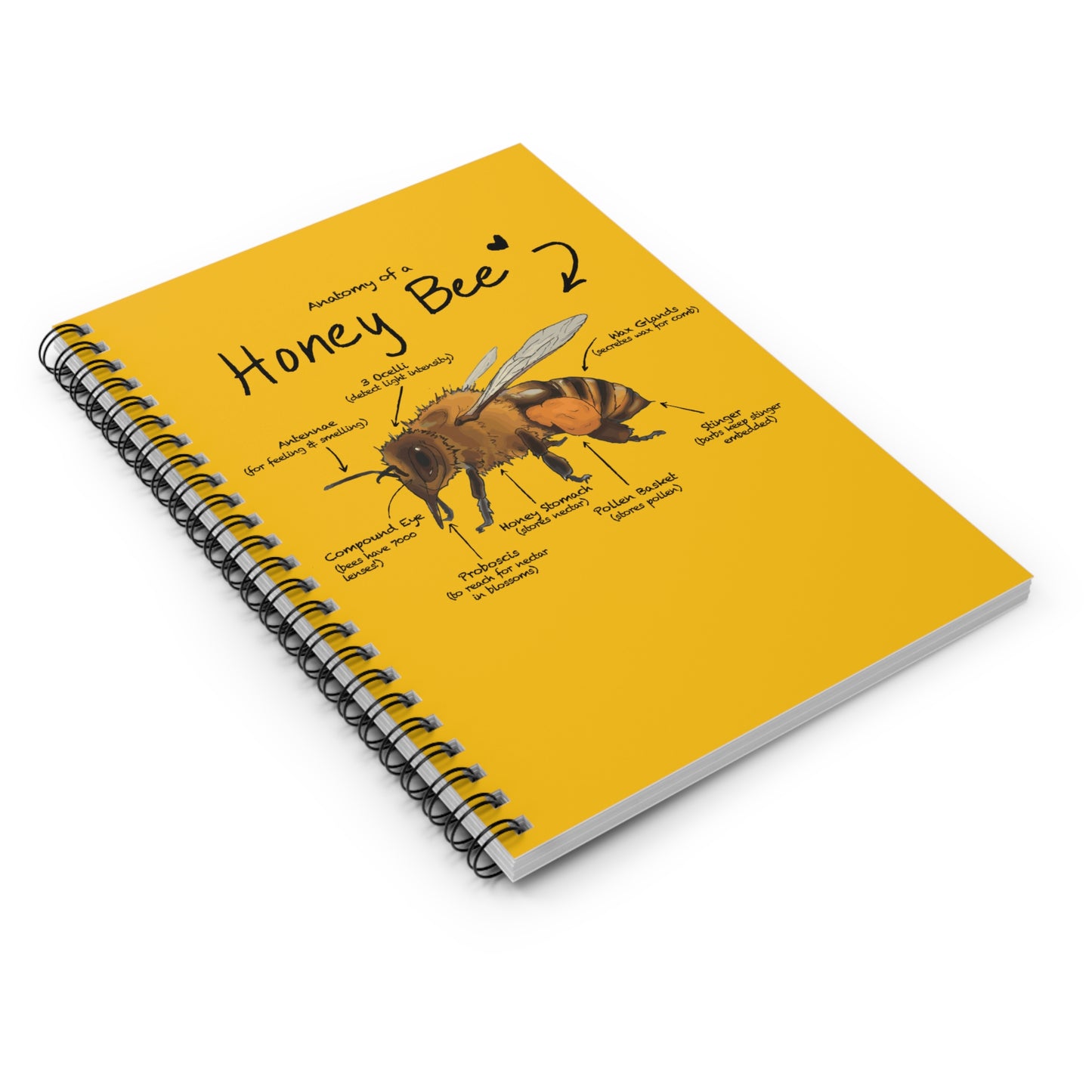 Bee Anatomy Spiral Notebook - Ruled Line