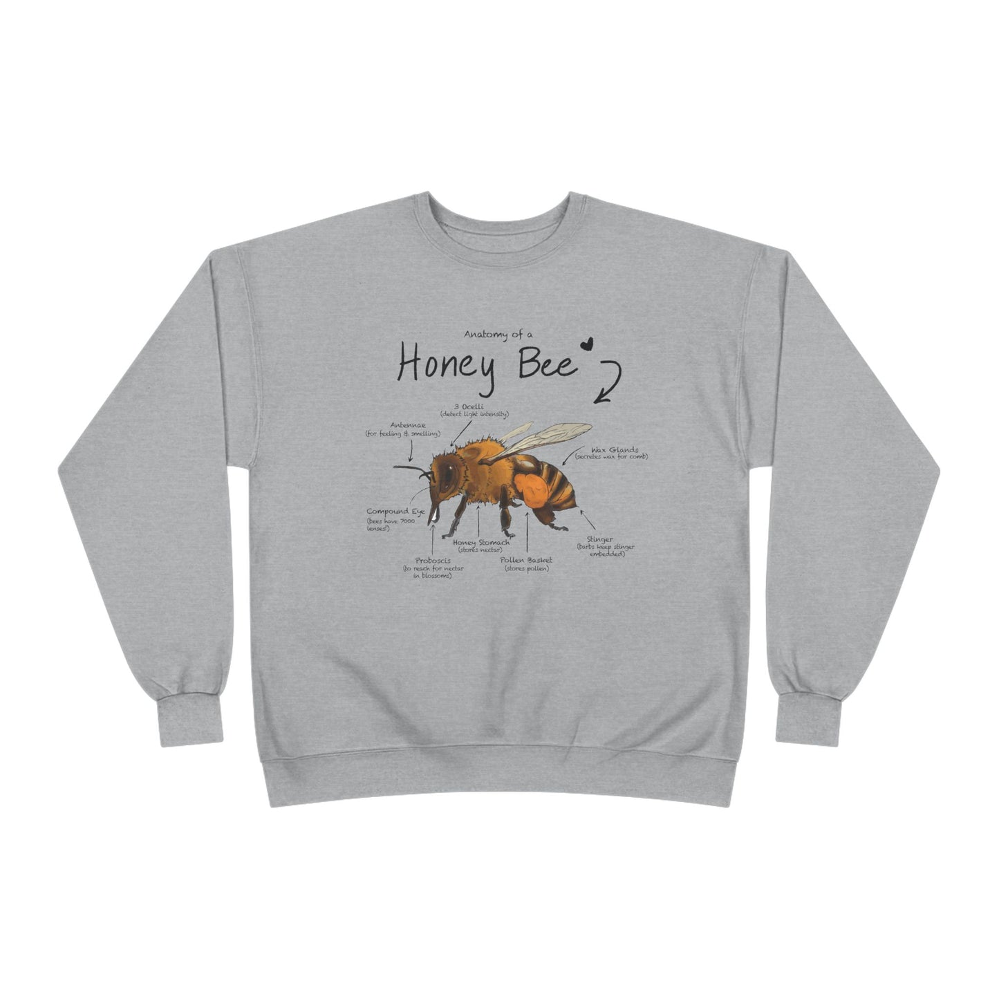 Bee Anatomy Eco-Friendly Sweatshirt