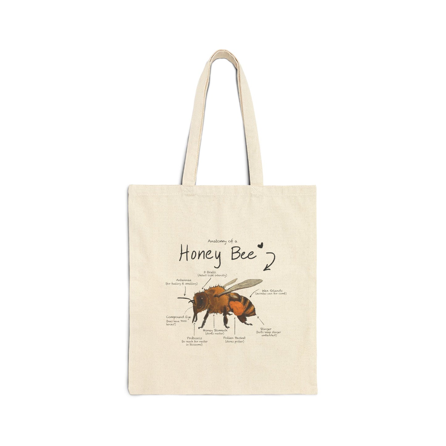 Bee Anatomy Canvas Tote Bag - Save the Bees