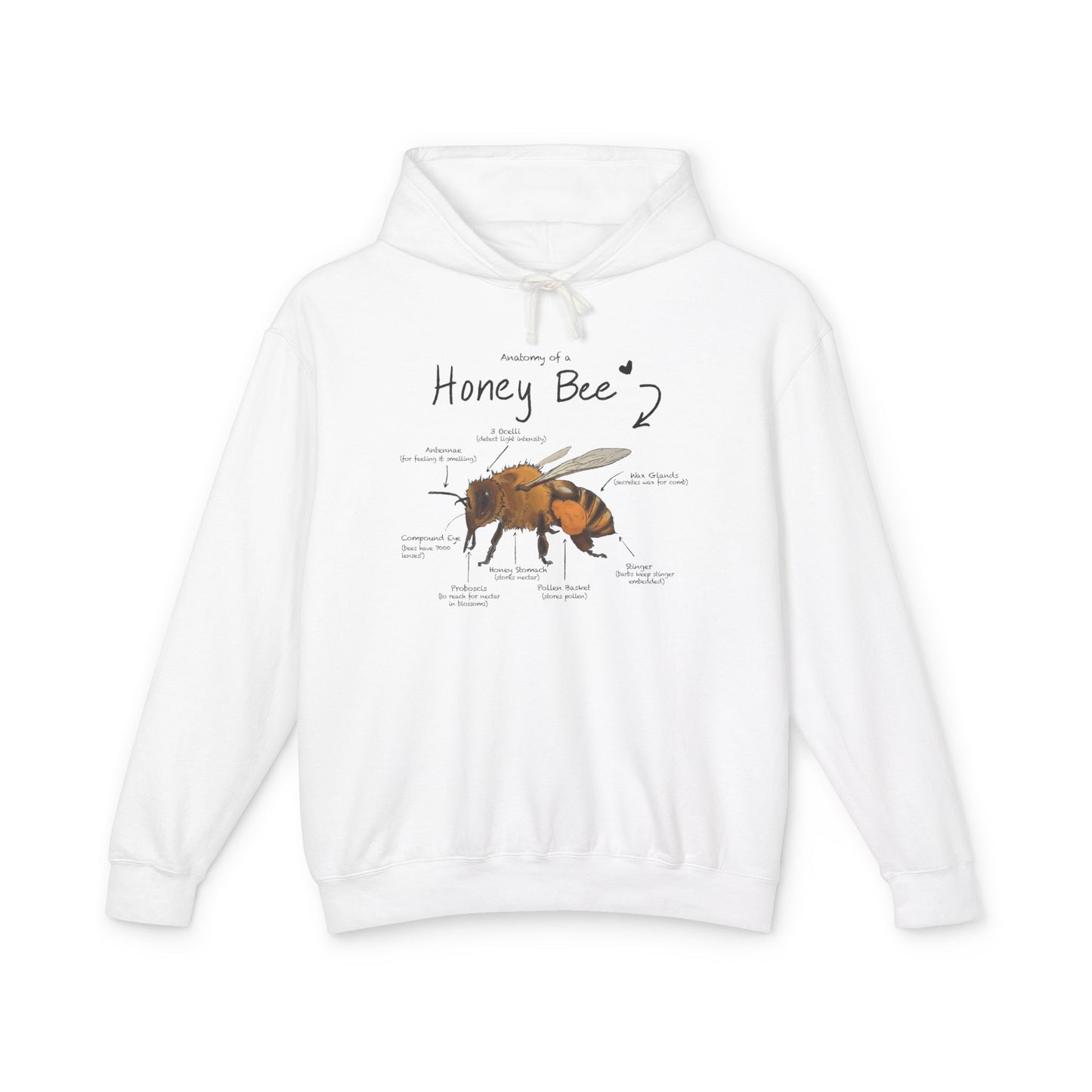 Bee Anatomy Lightweight Hoodie - Bee Lover Gift