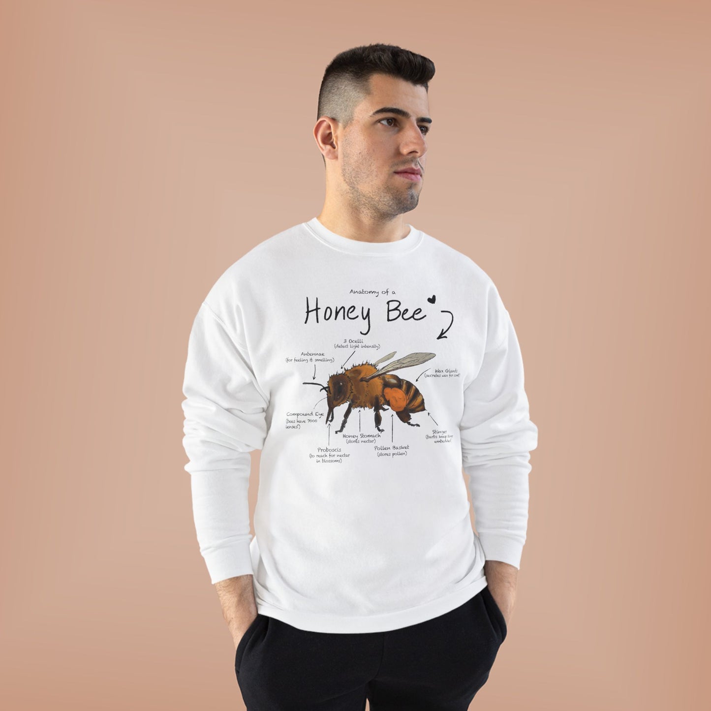 Bee Anatomy Eco-Friendly Sweatshirt