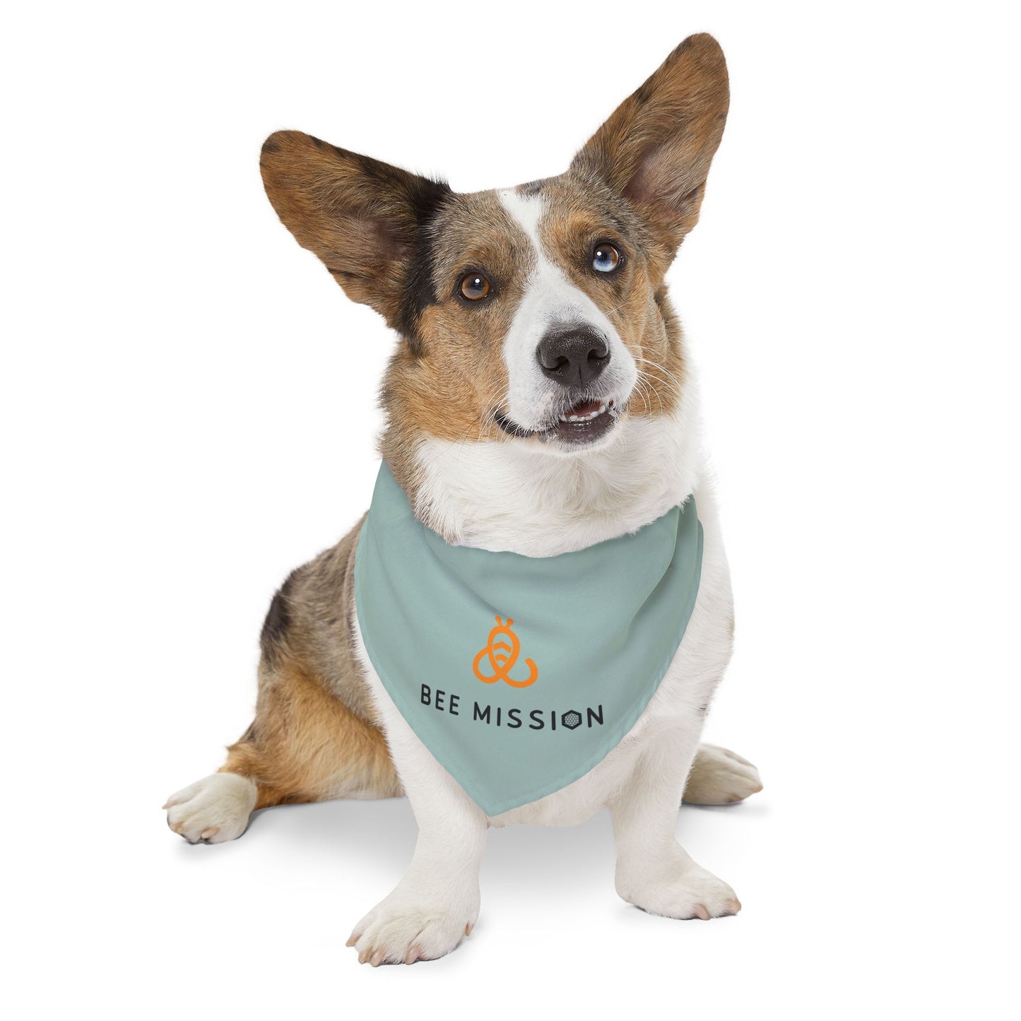 Bee Mission Pet Bandana Collar