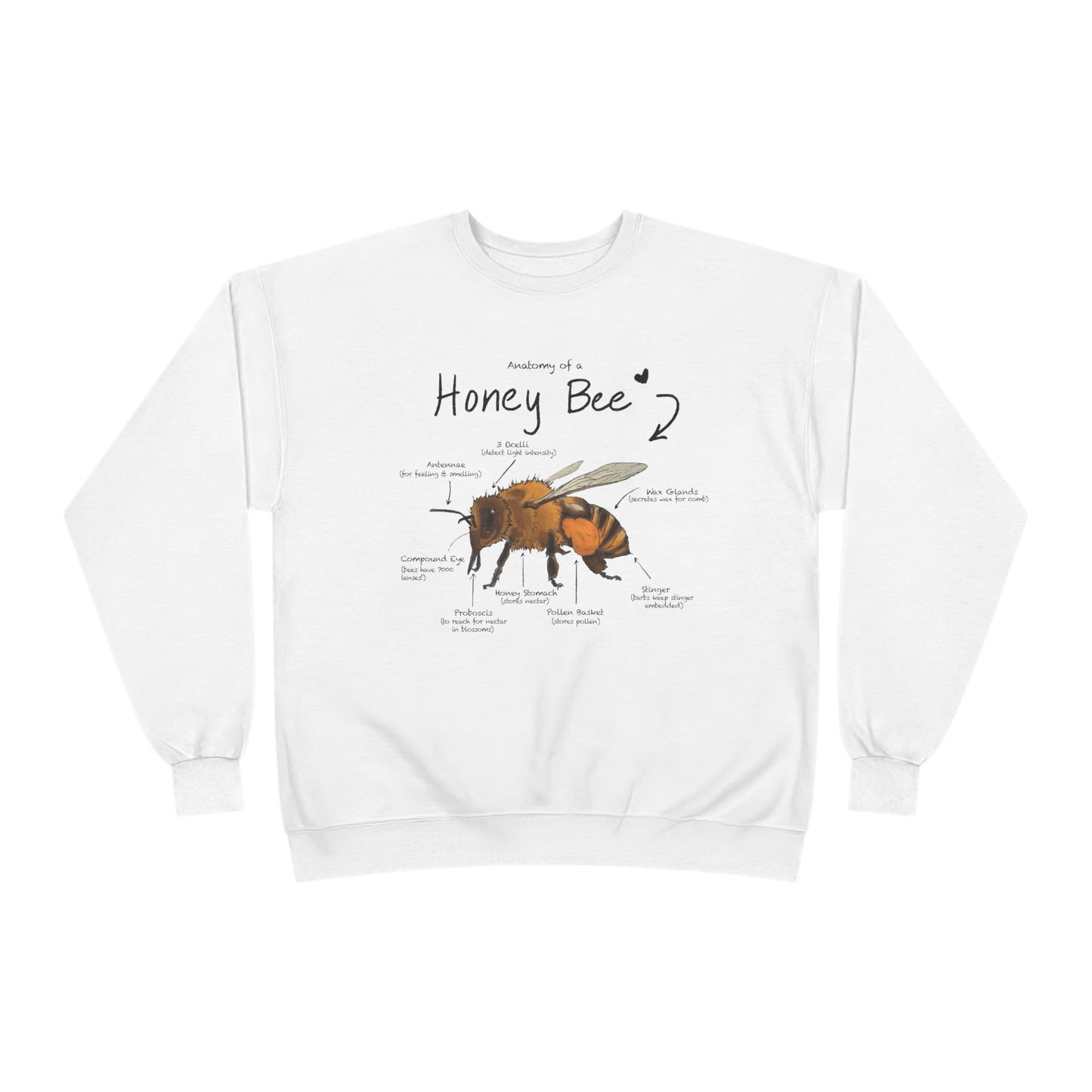 Bee Anatomy Eco-Friendly Sweatshirt