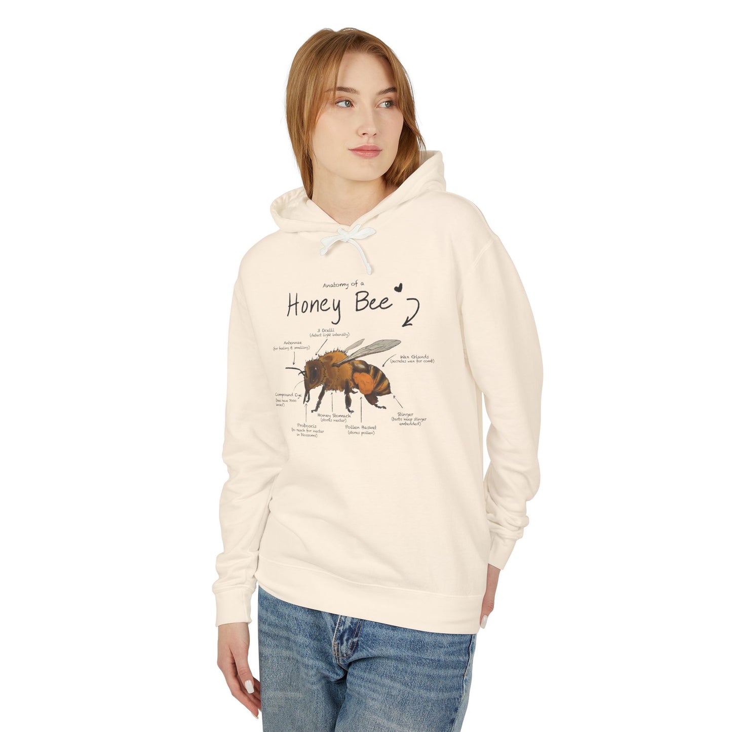 Bee Anatomy Lightweight Hoodie - Bee Lover Gift