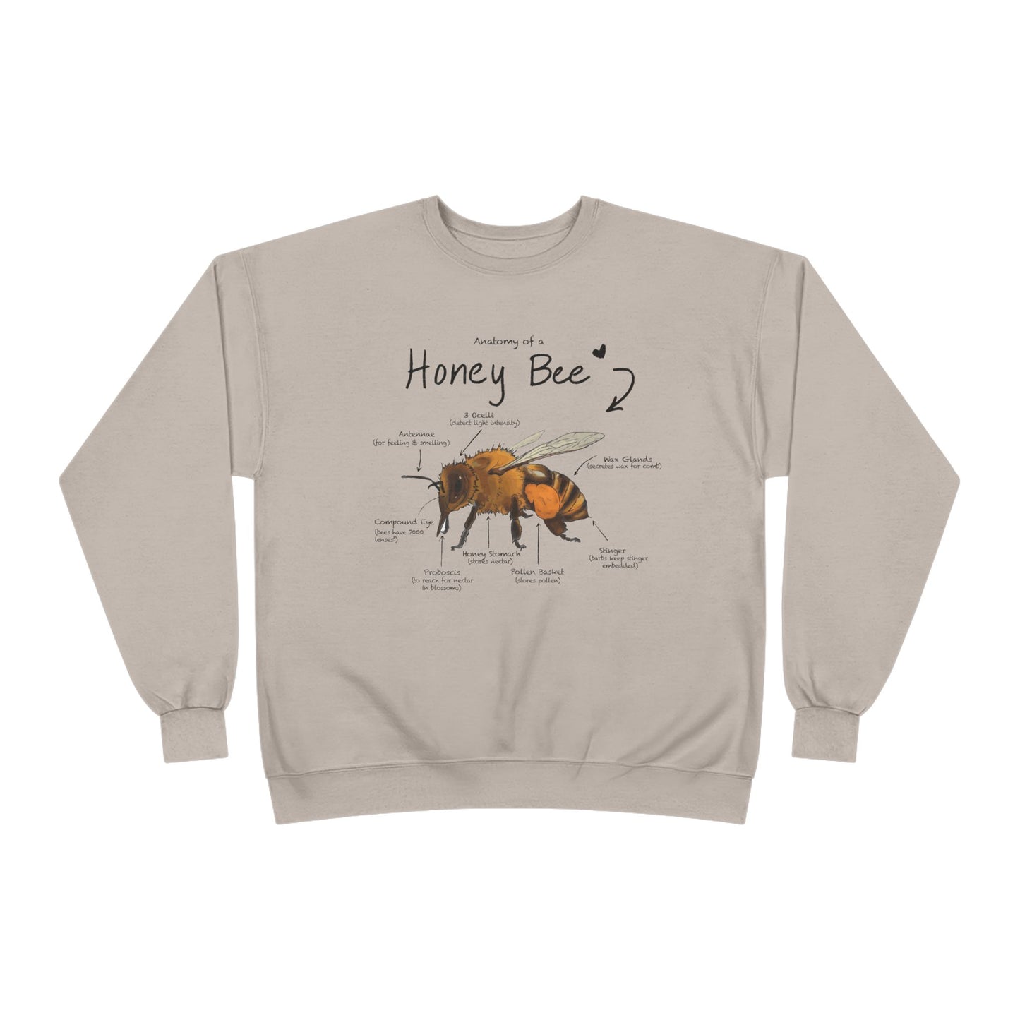 Bee Anatomy Eco-Friendly Sweatshirt