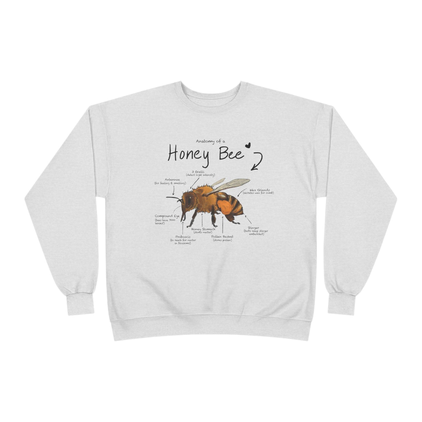 Bee Anatomy Eco-Friendly Sweatshirt