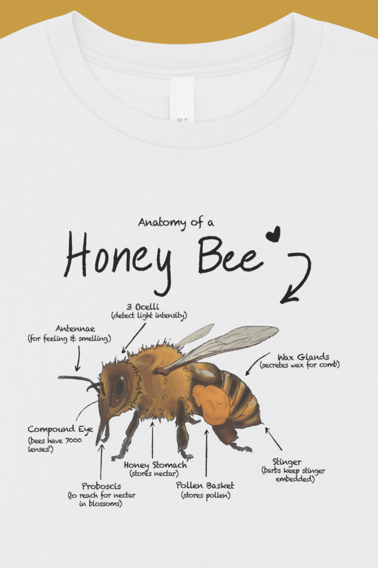 Bee Anatomy Eco-Friendly Sweatshirt